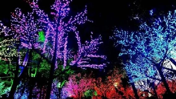 Oriental Giant Turtle Garden