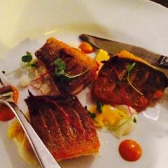 TNQ RESTAURANT & BAR User Photo