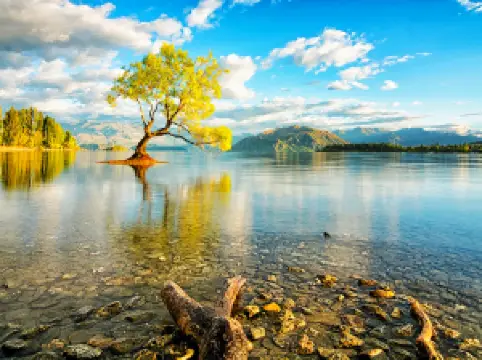 Popular Fall Viewing Attractions in Otago