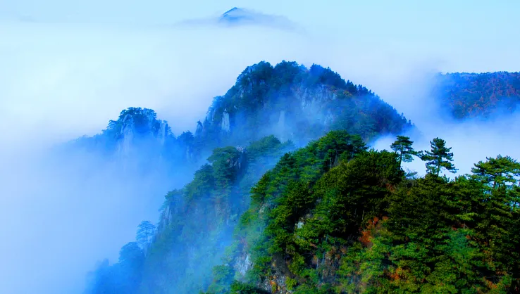 Dành cho gia đình