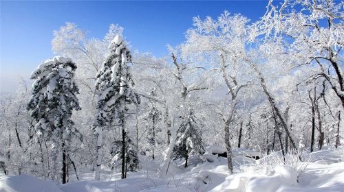 Yabulihufengling Boji Waizi Sceneic Area