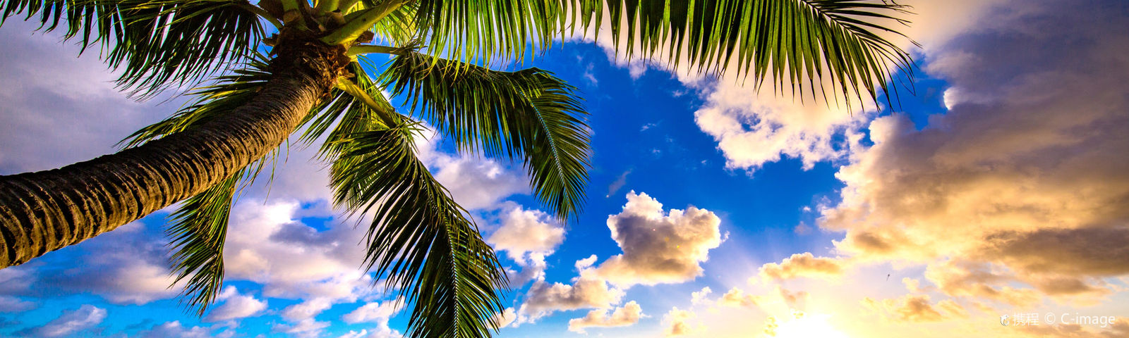 카일루아데이 투어