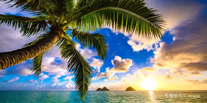 カイルア観光ガイド2026年：人気スポット、グルメ、ホテル、天気など