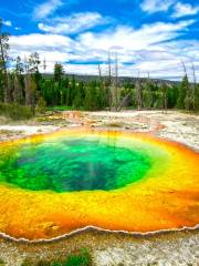 Upper Geyser Basin