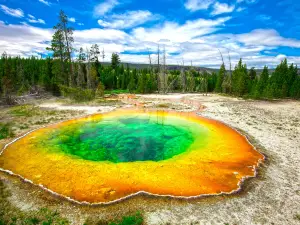 Upper Geyser Basin