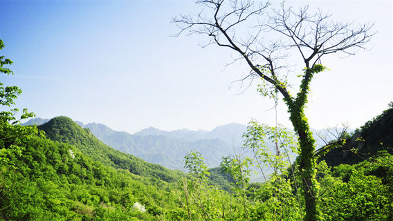 Tianlong Pool Scenic Area