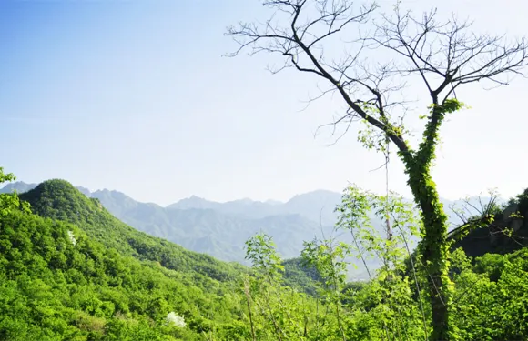 天龍池景區門票成人