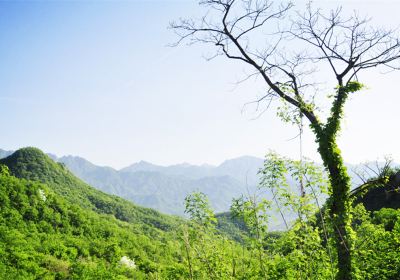 톈룽치 풍경관