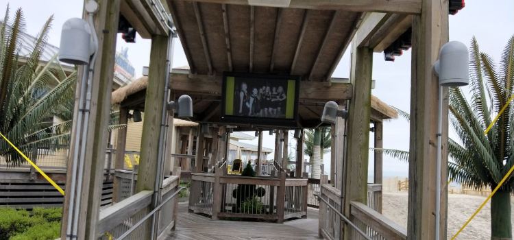 LandShark Bar & Grill - Atlantic City