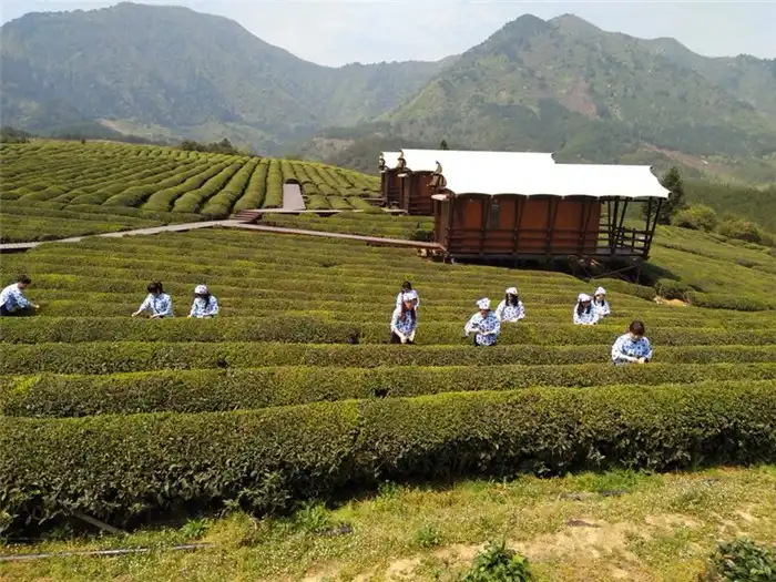 Hotels near Luxi Sceneic Area
