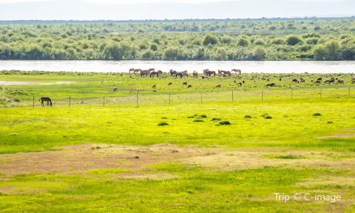 昭蘇天馬文化園