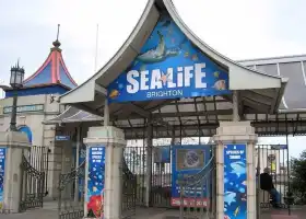 SEA LIFE Brighton