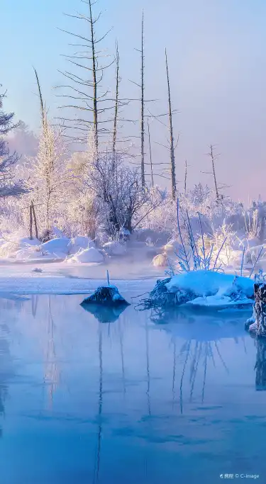 Сеть Shell в г. Анту 