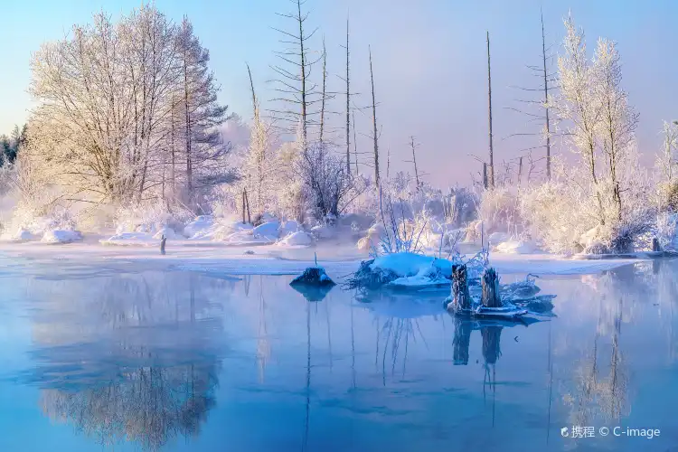 雲頂市場周辺のホテル