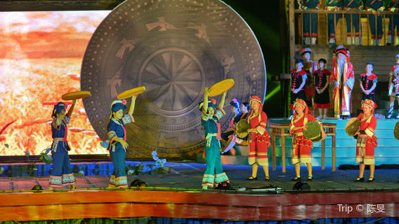 Dream Of Bama Large Live-Action Performance