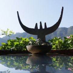 一木草堂咖啡馆 User Photo
