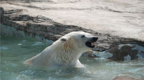 Dalian Forest Zoo