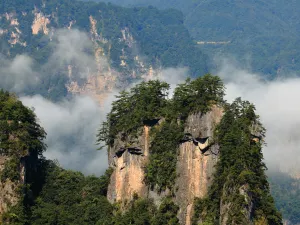 Fenglingu Forest Park