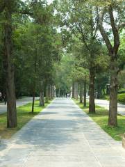 Wengzhong Path
