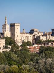 Palacio Papal de Aviñón