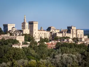 Palacio Papal de Aviñón