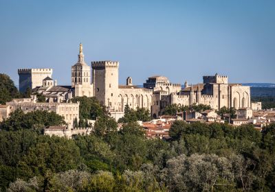 Palais des Papes