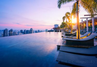 Rooftop Infinity Pool