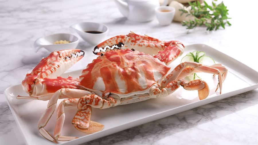 Imperial Treasure Fine Teochew Cuisine