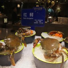 海天盛宴海鲜自助(正大广场店) User Photo