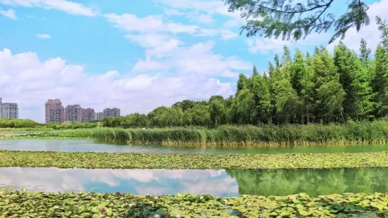 Jiyang Lake Ecological Park