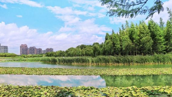 Jiyang Lake Ecological Park