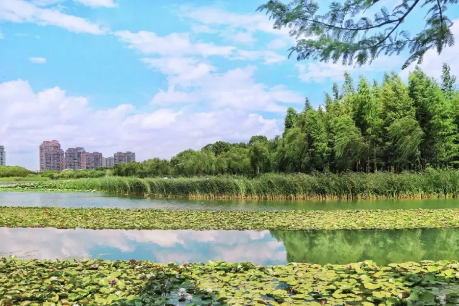 Jiyang Lake Ecological Park