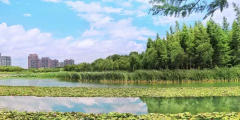 暨陽湖生態園區