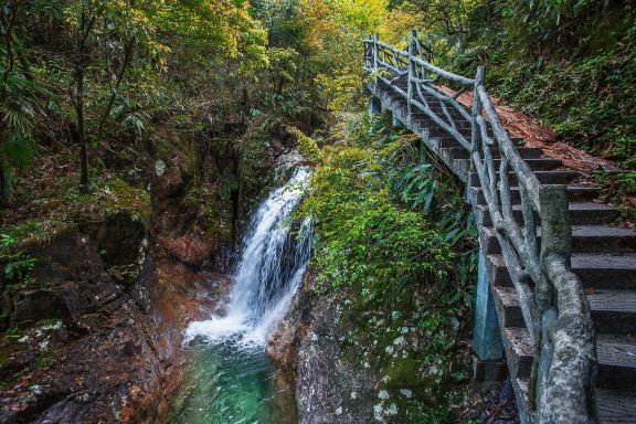 Ruoliao Primitive Forest Scenic Area