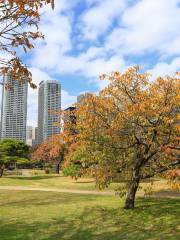 濱離宮恩賜庭園