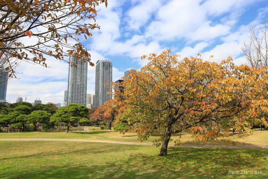 Hamarikyu Gardens