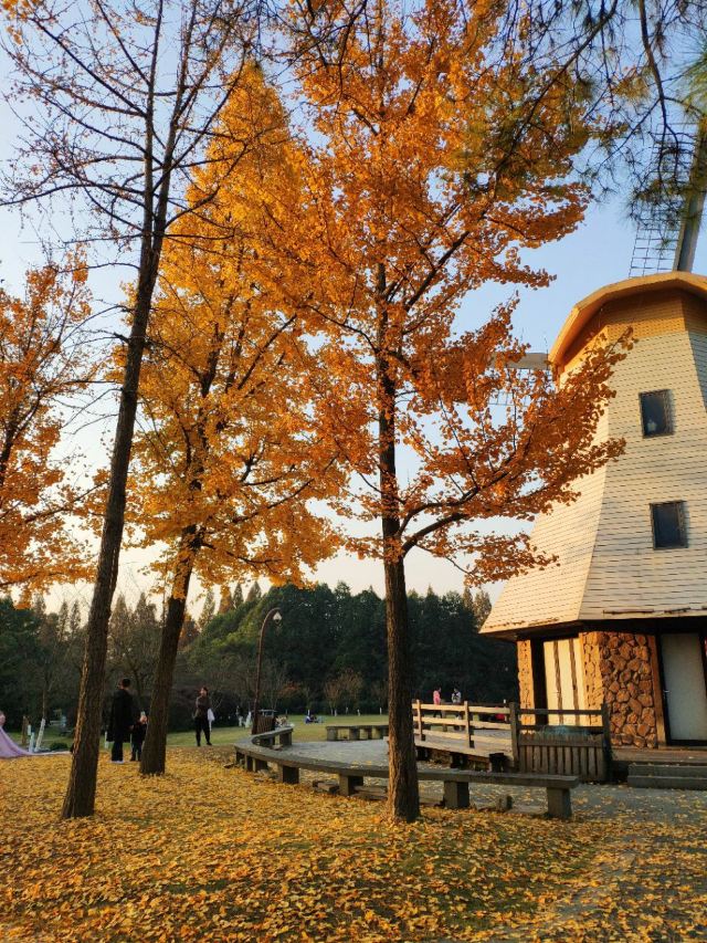 太子灣公園