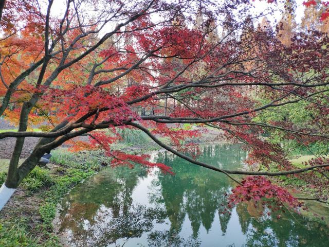 太子灣公園
