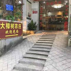 黄姚大樟树农庄 User Photo