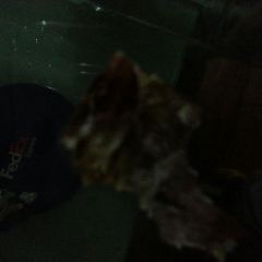 Tsukijisushiko Sohonten User Photo