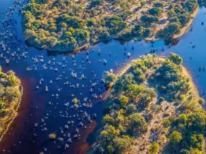Delta dell'Okavango