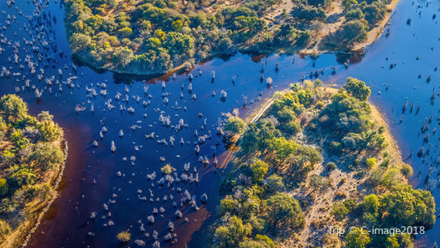 Okavango Delta