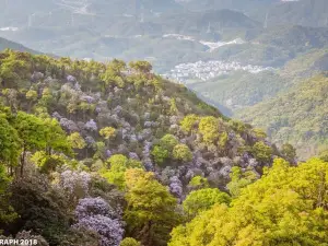 広東梧桐山国立森林公園