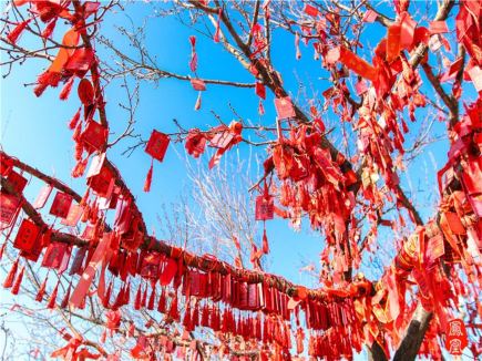 Recommended places to see red leaves in Beijing