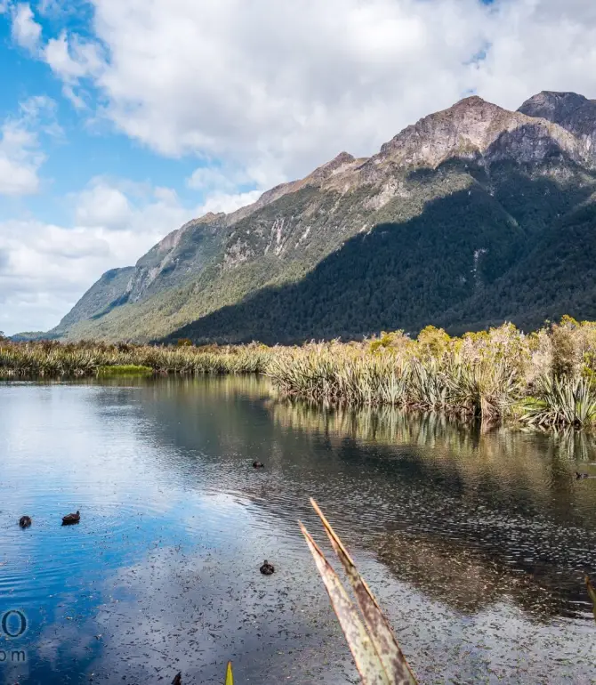 Te Anau