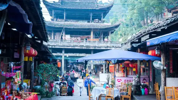 Chengdu Leshan Giant Buddha Scenic Area Private Day Tour