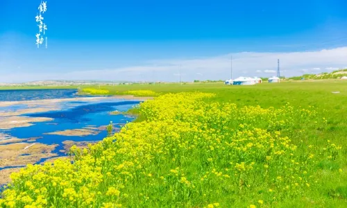 Xilingol Grassland