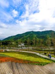 Lonchahuahai Camellia Garden