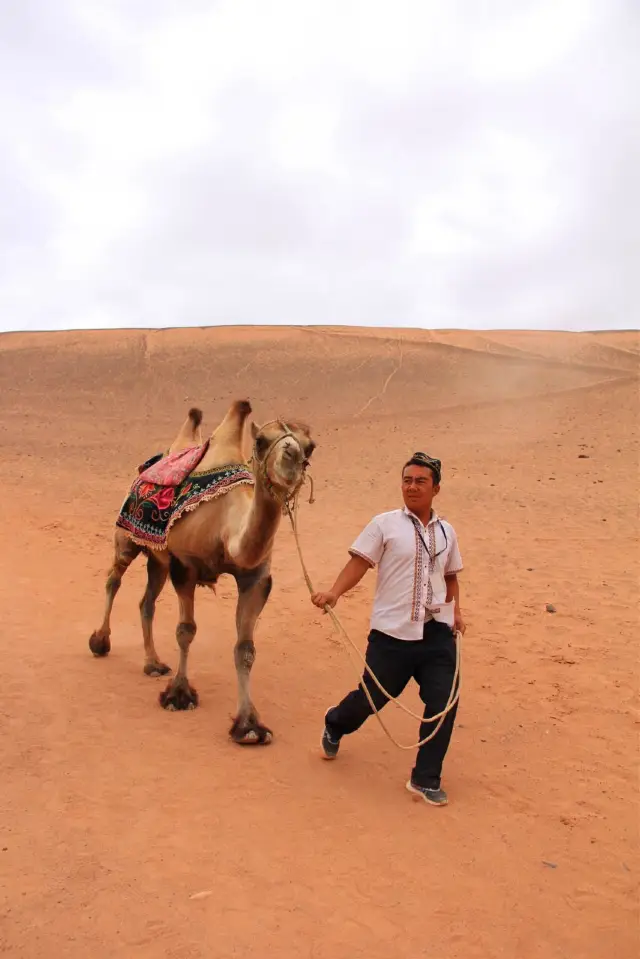 Camel Riding in Turpan