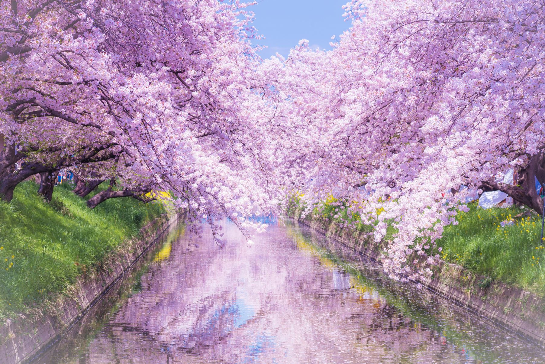 Compare 5 airports near Toyohashi